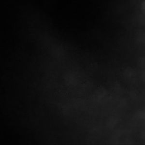 Meet your Posher, Tyriq